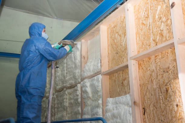 Attic Insulation Near Me in Wayzata, MN