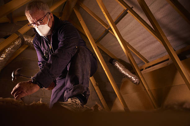 Best Insulation Inspection Services  in Wayzata, MN